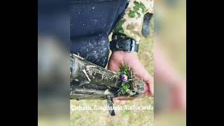 Vəfa Şərifova-Əsgər Qardaşım