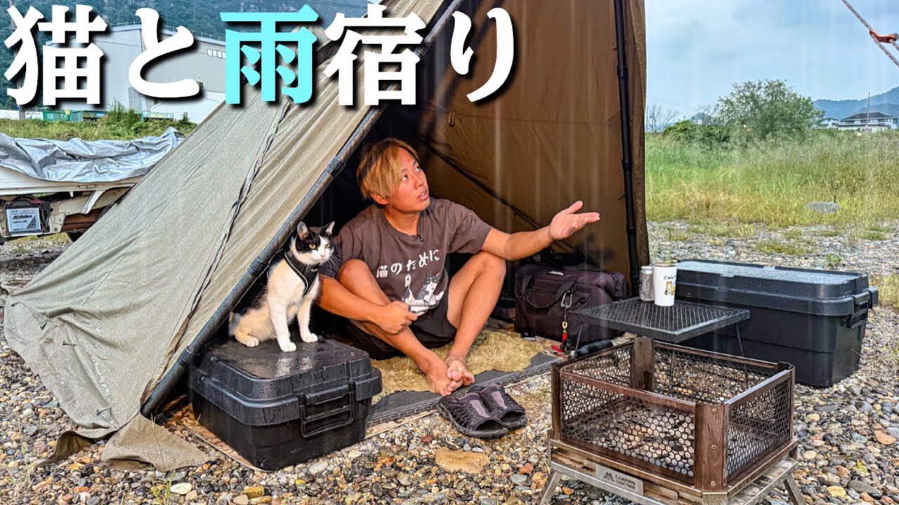 猫と雨キャンプ…外に出たいけど濡れたく無い猫が可愛すぎた！