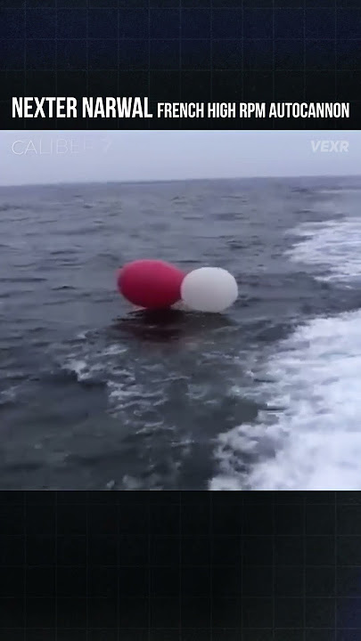 The Only Footage of the French Navy 'Narwal' Autocannon