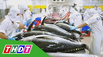 Việt Nam có nhiều cơ hội đẩy mạnh xuất khẩu cá ngừ sang Anh | THDT