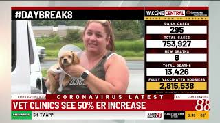 Vet clinics overwhelmed, report long wait times