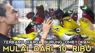 BIRD PRICE !!! MASTERAN SERIBU SUARA MULAI DARI 10 RIBU DI PASAR BURUNG PRAMUKA