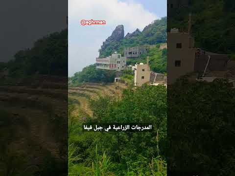 جبل فيفا جازان عسير
