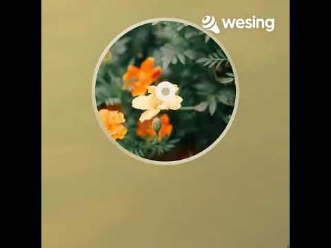 Duet Mix | Huseen Samah \u0026 Ali Najem | TEDxBaghdad