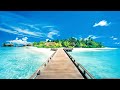 THE MOST CHILLOUT LOUNGE MUSIC -🌴 Essential Relax Session 2 - Background Chill Out Music