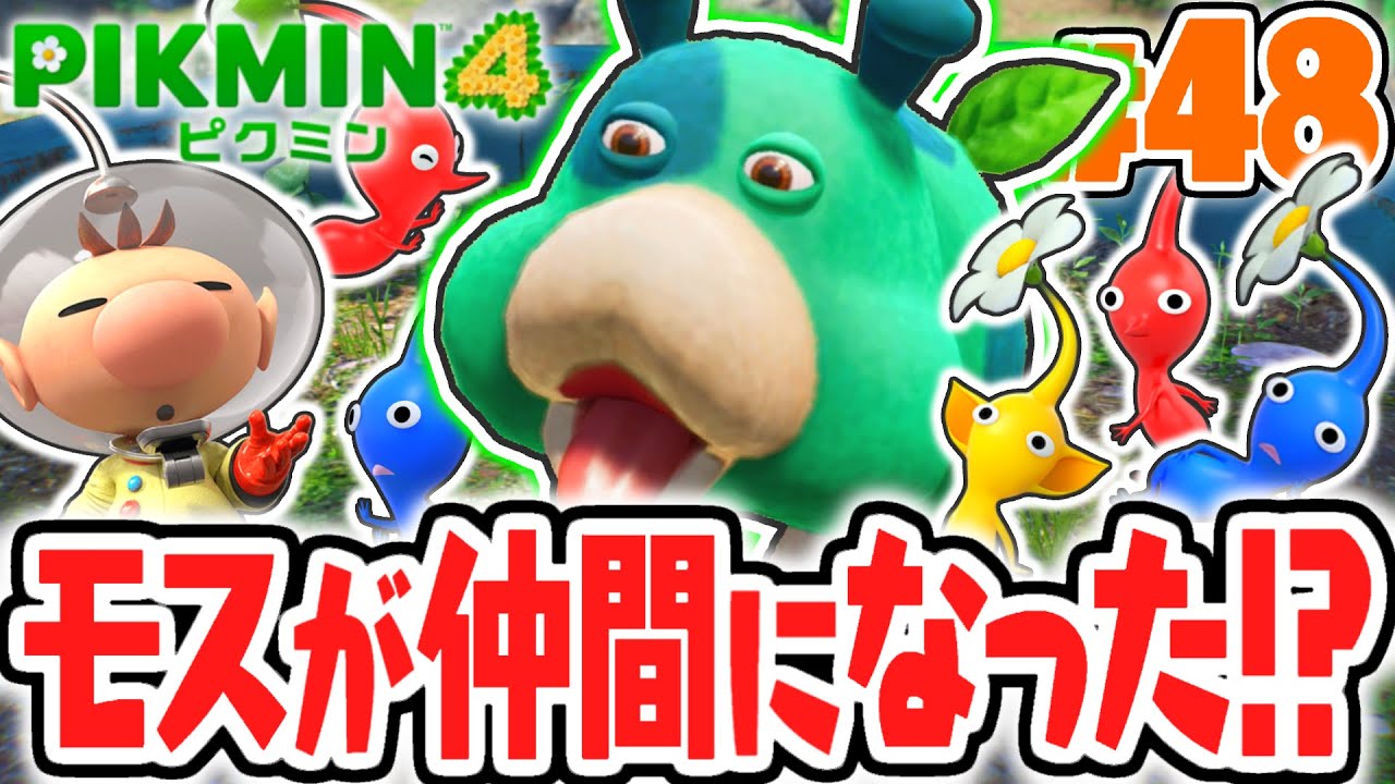 The mysterious space dog Moss joins the team! Collecting Dolphin