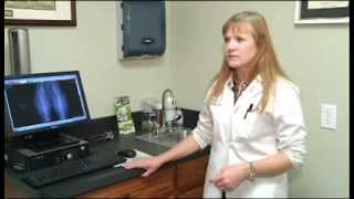 Pet Allergies KTXS 12 News October 21, 2013