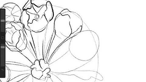 October bloom flower pattern-Procreate time-lapse process