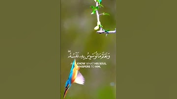 الشيخ محمد صديق المنشاوي سورة ق الآية ١٦