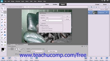 Photoshop Elements 12 Tutorial Saving & Loading Selections Adobe Training Lesson 8.10