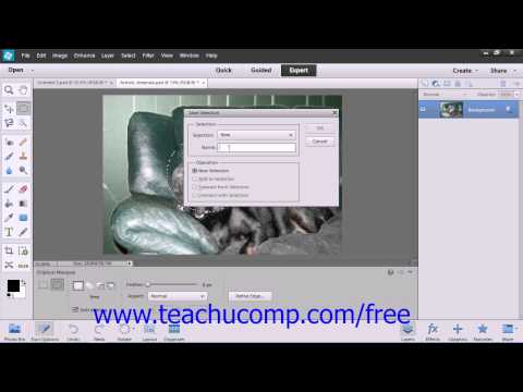 Photoshop Elements 12 Tutorial Saving & Loading Selections Adobe Training Lesson 8.10