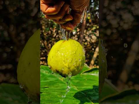 pink guava+chilli masala 😋🥰‼️#trending #shorts #viral #food #recipe #reels #video #short #fruit