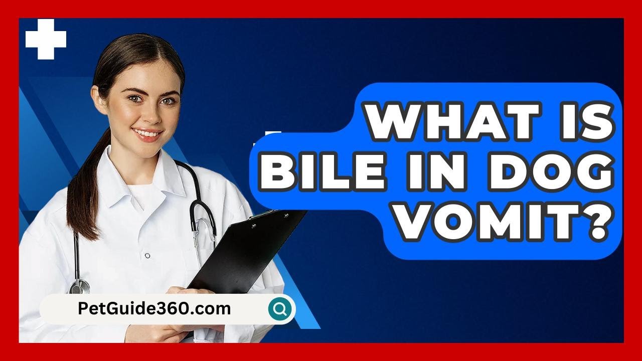 What Is Bile In Dog Vomit? - PetGuide360.com
