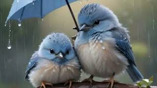 Віршована аудіоказка / Прокидайтеся малята / Казка на ніч