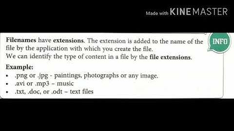 MLZS JHANSI CLASS 5 Computer Recapitulation of Chapter 1