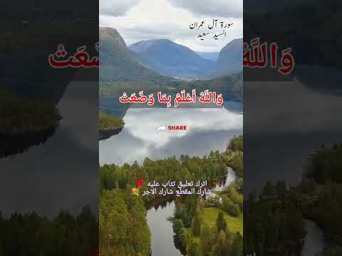 السيد سعيد سورة آل عمران