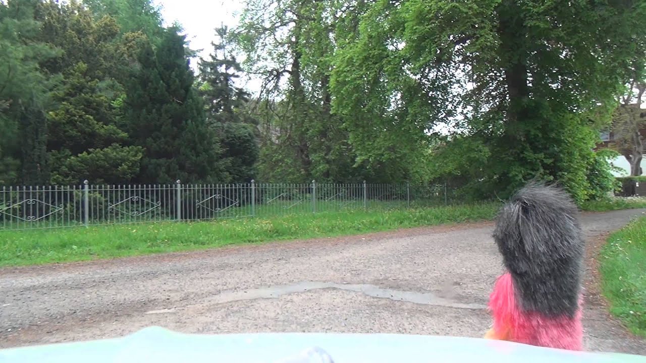 Braunsberg 19.5.2013