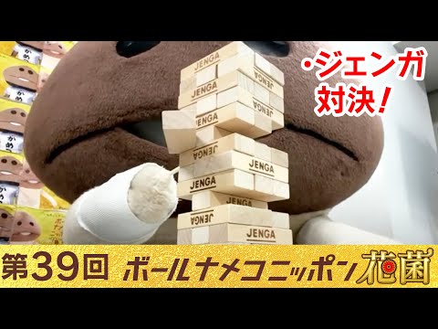bnn] Ball Nameko Nippon Flower Fungus 39th 