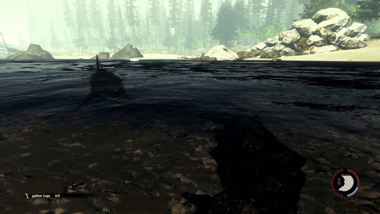 The forest shark attack
