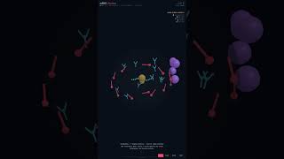mRNA Vaccines Explained in 60 Seconds #Shorts
