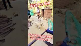 Owner Aggressive Dog Catching For Abc #dog #dogwithpublicsafety #ytviral #pets #dogshorts #shorts