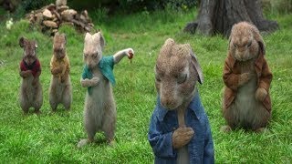 First Encounter - The Battle Between Thomas And Peter Rabbit 2018