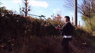 HG-BBC260Eのヘッジトリマーを使用して生垣の剪定をしてみる