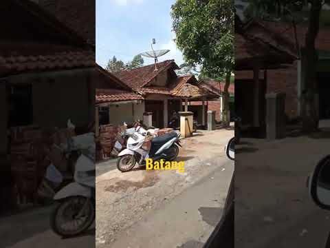Menuju Batang