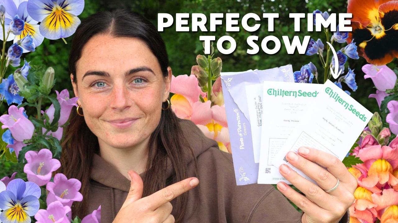 Cut Flower Seeds to Start NOW in Late February 🌱
