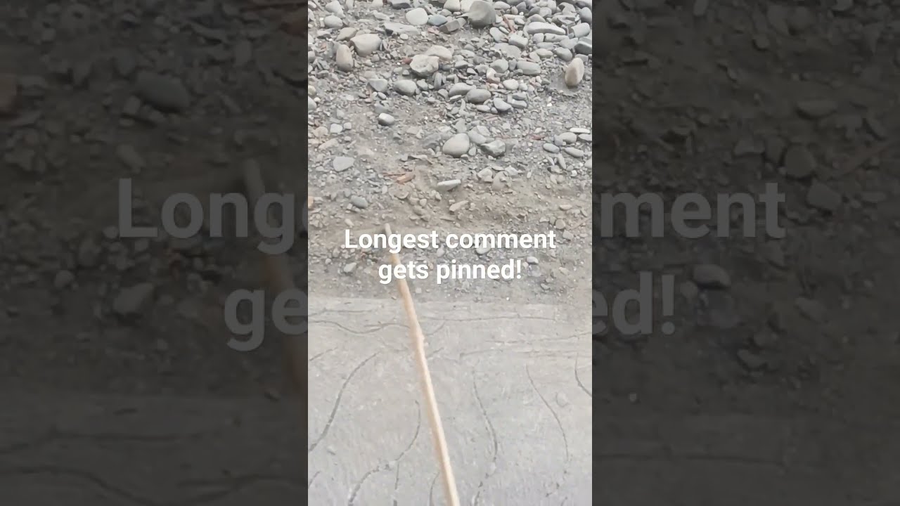 Longest Comment Gets Pinned Memes Shorts Viral Youtubeshorts