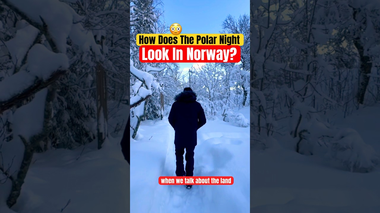 Зимние приключения в Норвегии 