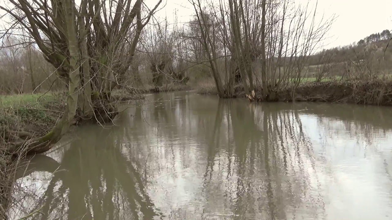 Mühlkanal bei Distelhausen