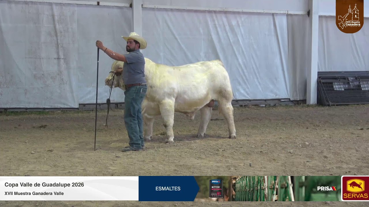 Copa Valle de Guadalupe 2026
