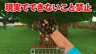 現実世界でできないこと禁止でダイヤチャレンジ【縛り】【マイクラ】