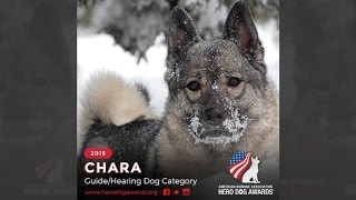 2015 American Humane Association Hero Dog Awards™ - Guide/Hearing Dog Category – Chara