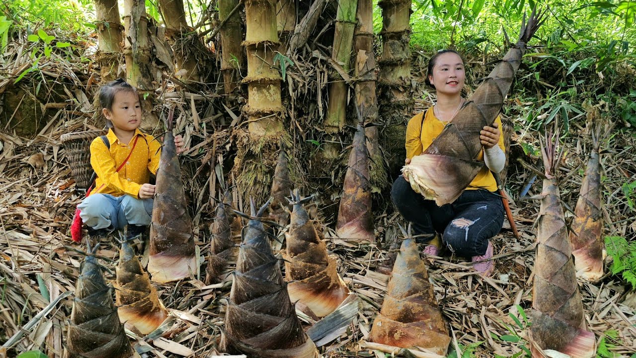 Harvesting giant bamboo shoots to sell, growing corn on the farm with my daughter | Tương Thị Mai
