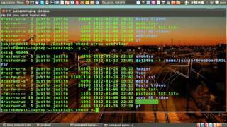 how to find, understand, and change file permissions in linux