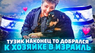 Тузик наконец то добрался в Израиль к хозяйке😍 От скитания по трассе к любящей хозяйке.