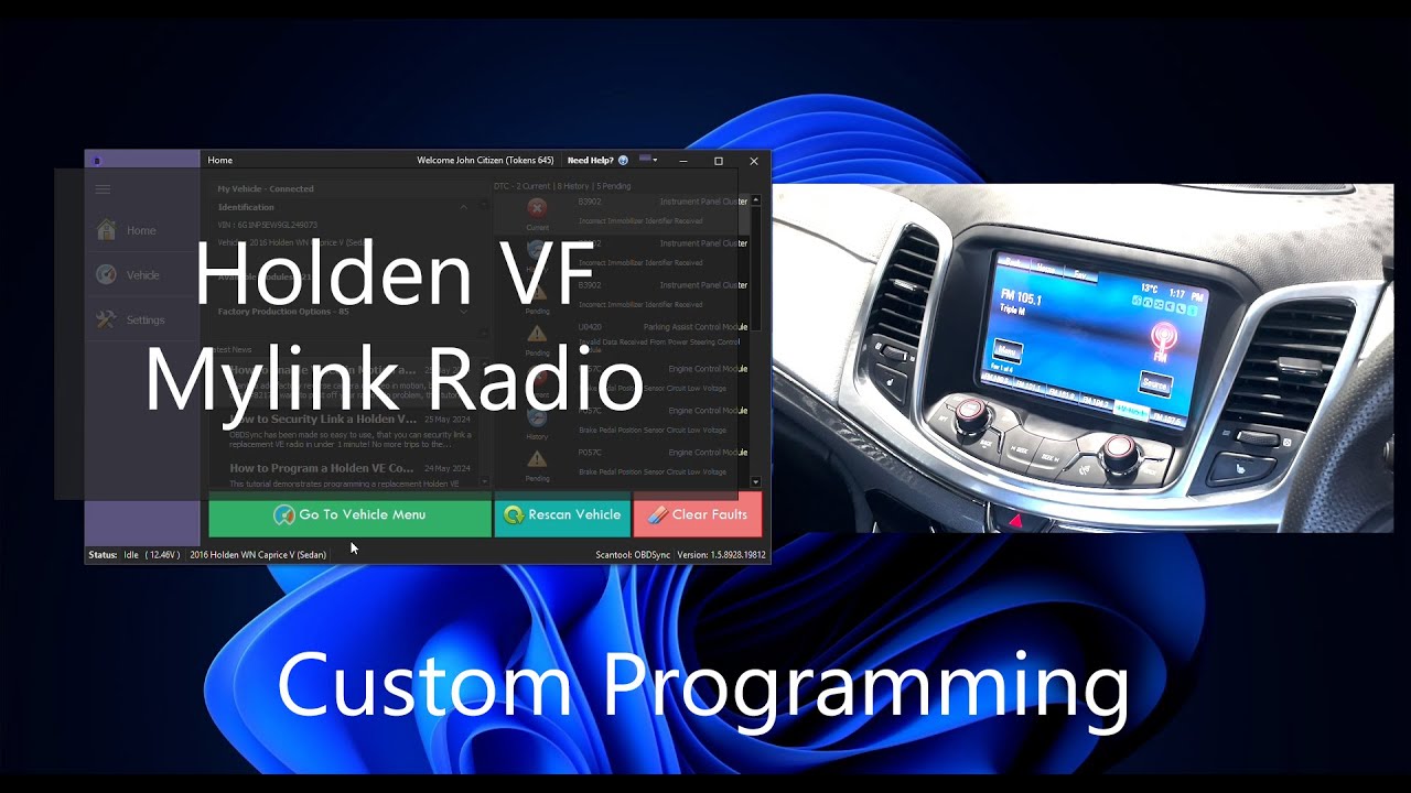 Holden WN Caprice Mylink Programming  Logo, Theme Colour and Aux