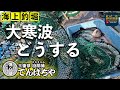 【海上釣堀】傳八屋 大寒波到来こんな日は高感度ウキと高感度穂先が冴える