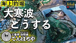 【海上釣堀】傳八屋 大寒波到来こんな日は高感度ウキと高感度穂先が冴える