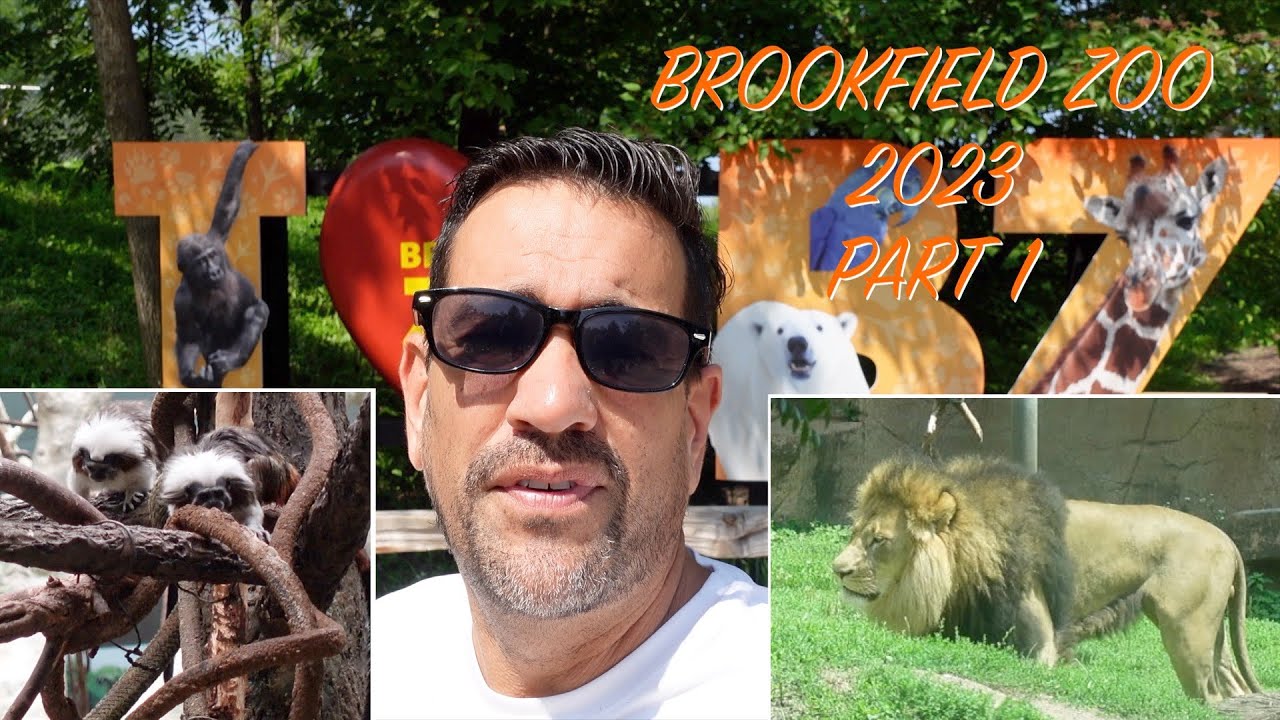 2023 Brookfield Zoo Part 1 YouTube
