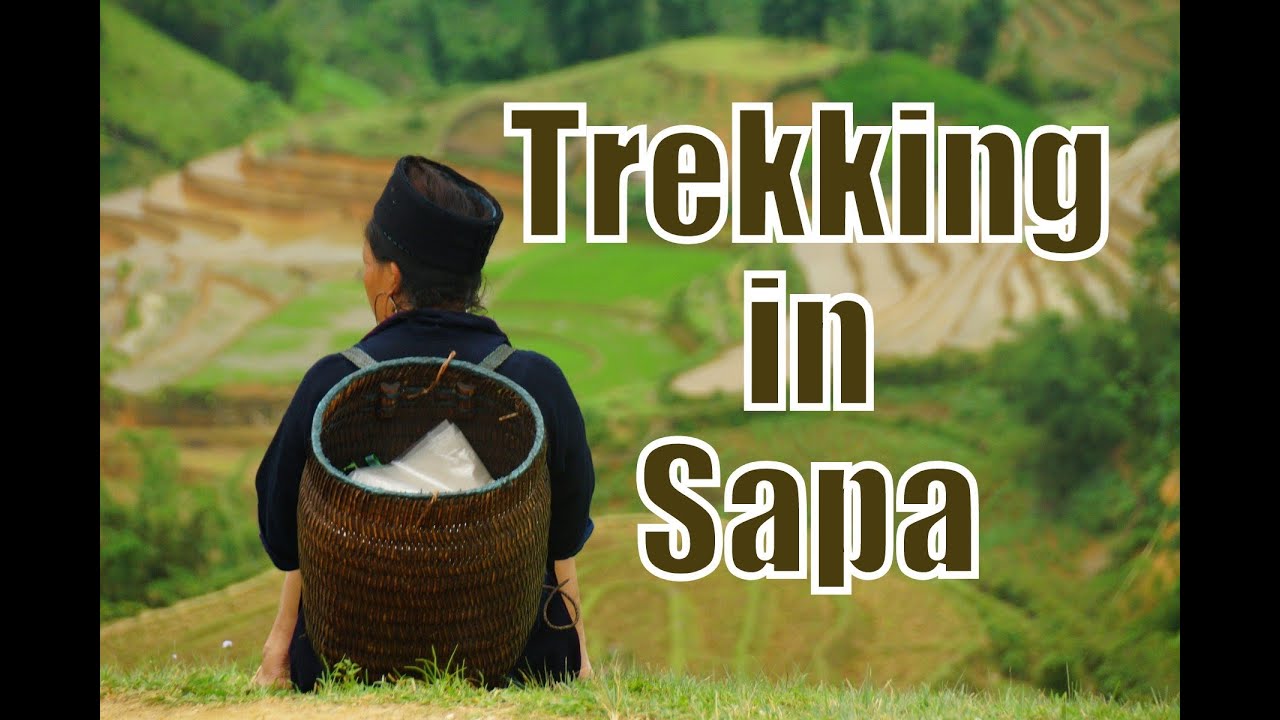 Hike to explore Giang Ta Chai Village (Dzao Tribe) Trekking in Sapa