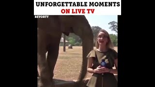 Unforgettable moments on live tv | funny live tv fails | ham tv