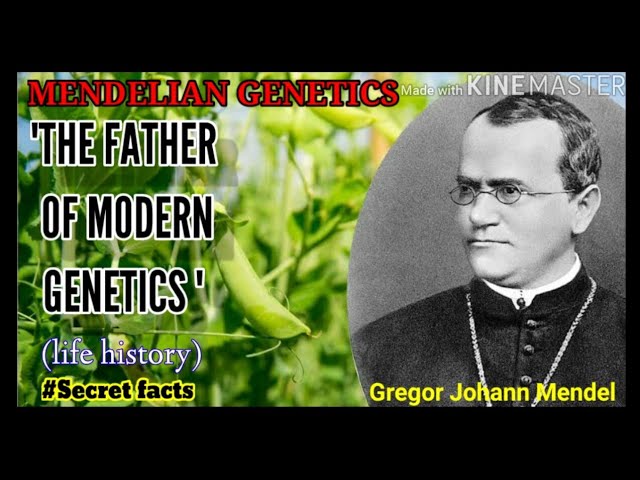 Mendelian genetics || Life history of Gregor Johann Mendel || The father of modern genetics || - YouTube