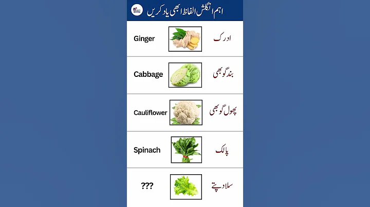 Daily used words with Urdu translation | #english #shorts #spokenenglish