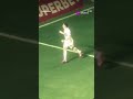#futbol