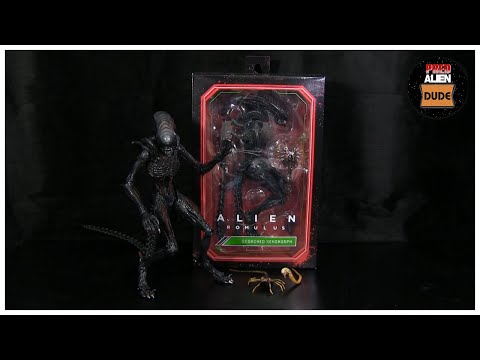SF・ファンタジー・ホラー NECA Alien: Romulus Scorched Xenomorph NECA Alien Romulus Scorched Xenomorph 7 Action Figure