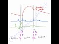 Oneminutereviews how to draw the cardiac cycle wiggers diagram with the anesthesiomologist