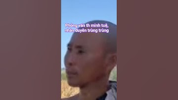 phỏng vấn th minh tuệ " nói điều này #doanvanbau #suminhtue #lekhagiap #tanletv